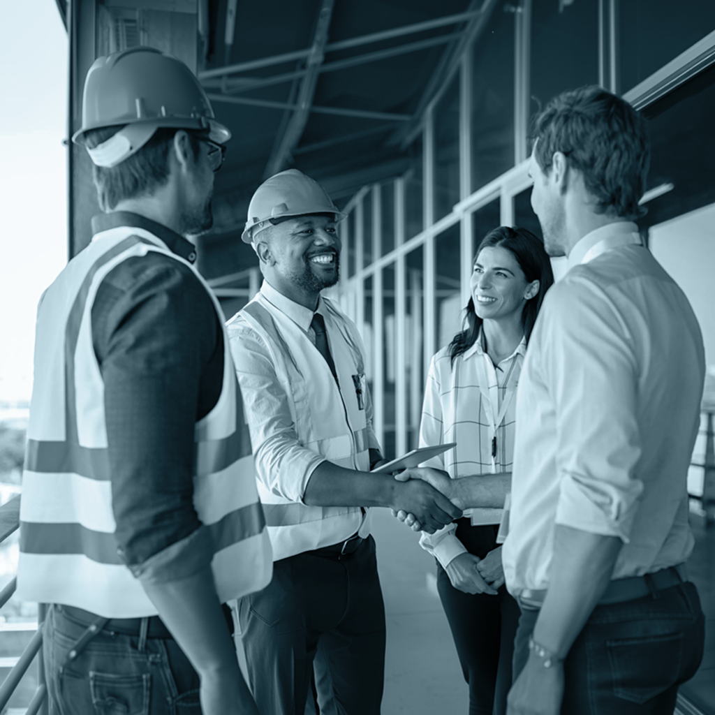 Audit planning and inspection